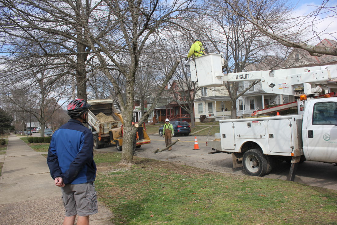 Marietta’s trees News, Sports, Jobs Marietta Times